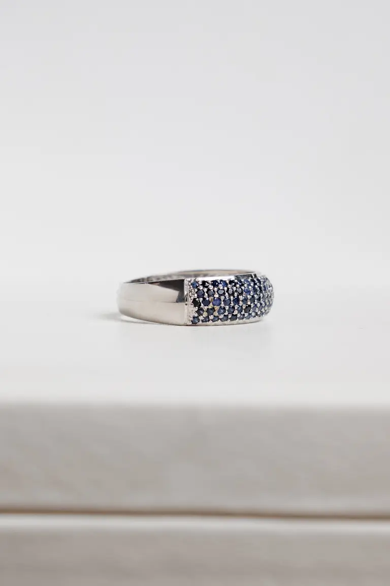 Pave plus blue — фото 2
