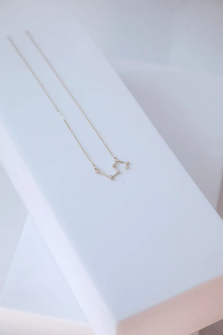 Leo Constellation Necklace (Leo) — photo 3